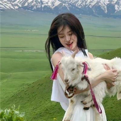 混世闲喵免费在线观看